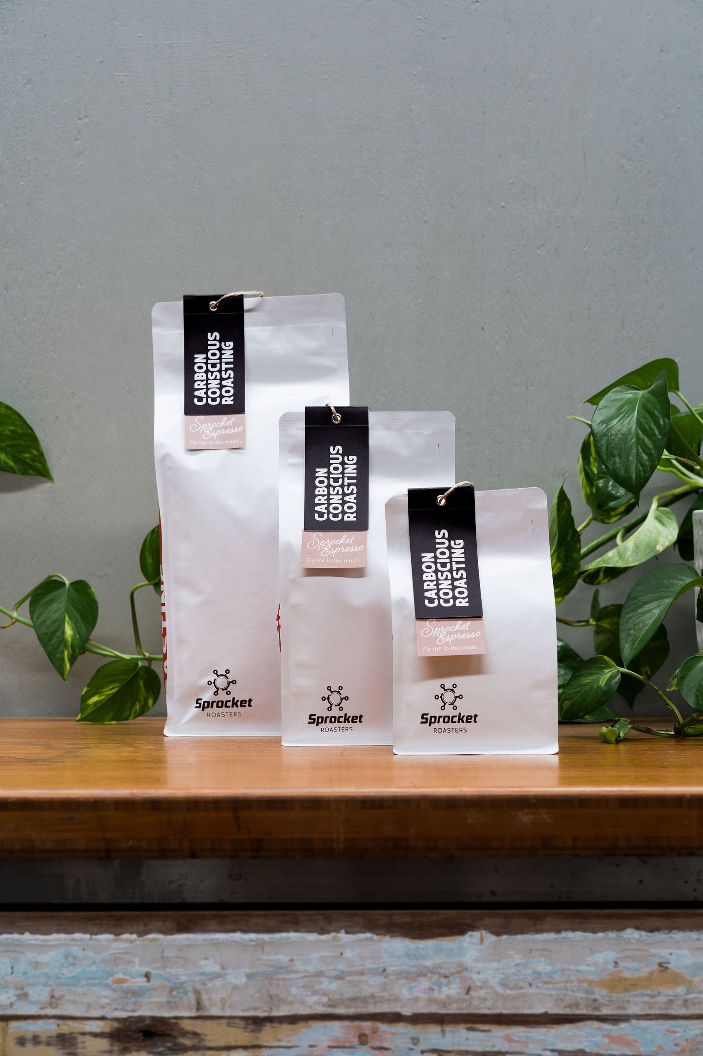 Sprocket Espresso