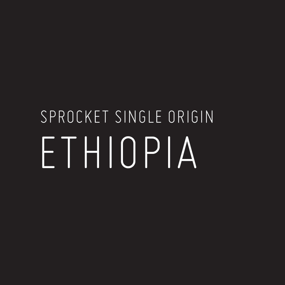 Ethiopia Yirgacheffe Gotiti Moki (Filter Roast)